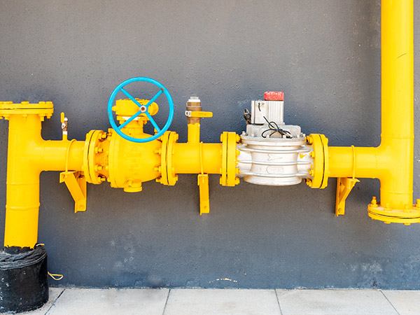 ��������(�й�)�ٷ���վ